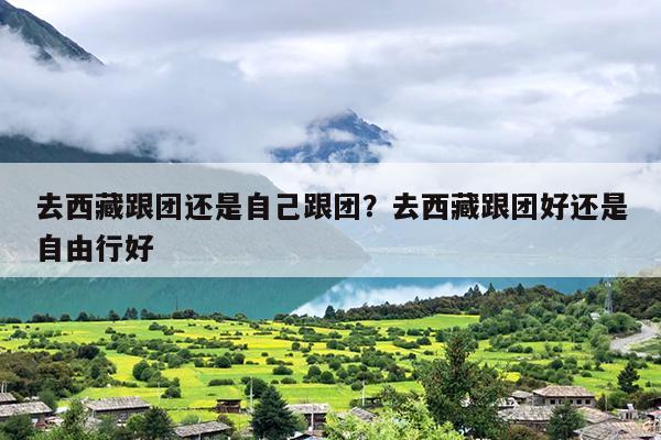 去西藏跟团还是自己跟团？去西藏跟团好还是自由行好