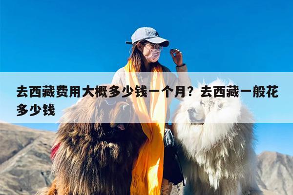 去西藏费用大概多少钱一个月？去西藏一般花多少钱