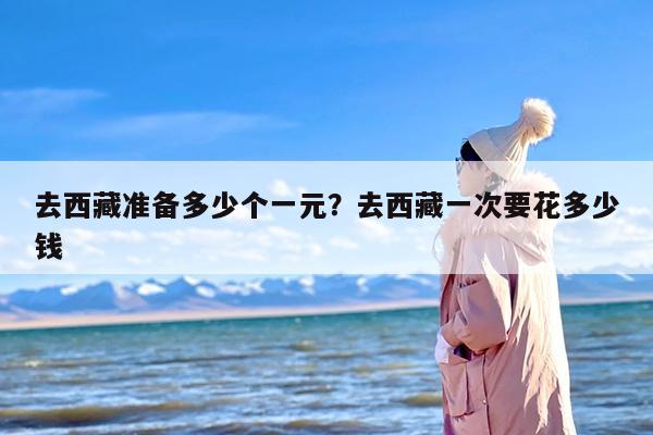 去西藏准备多少个一元？去西藏一次要花多少钱