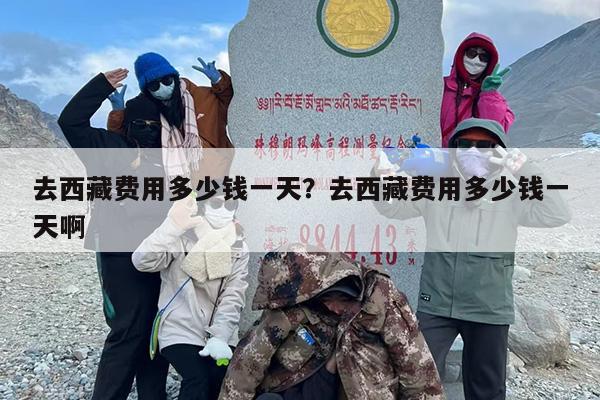 去西藏费用多少钱一天？去西藏费用多少钱一天啊