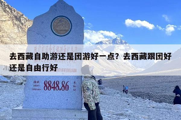 去西藏自助游还是团游好一点？去西藏跟团好还是自由行好