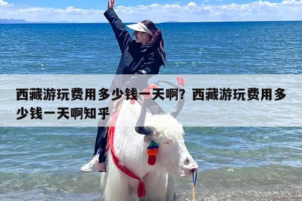 西藏游玩费用多少钱一天啊？西藏游玩费用多少钱一天啊知乎