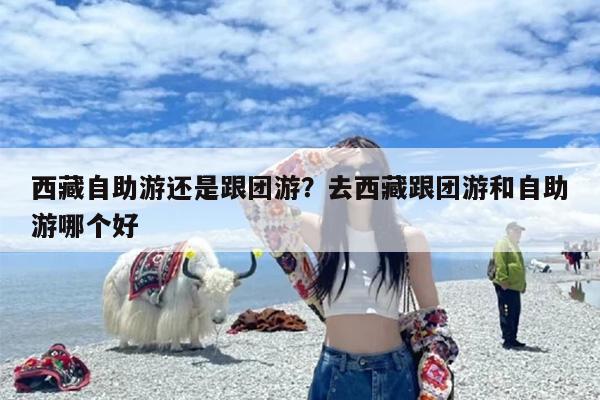 西藏自助游还是跟团游？去西藏跟团游和自助游哪个好