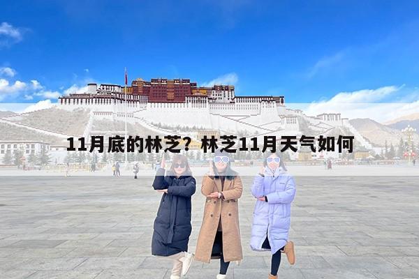 11月底的林芝？林芝11月天气如何