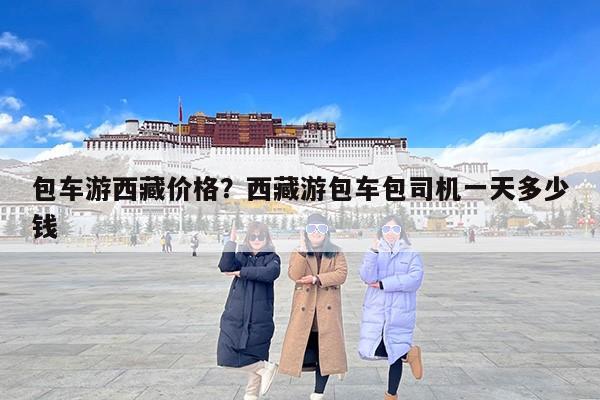 包车游西藏价格？西藏游包车包司机一天多少钱