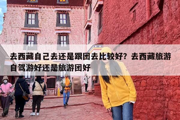 去西藏自己去还是跟团去比较好？去西藏旅游自驾游好还是旅游团好