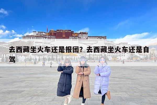 去西藏坐火车还是报团？去西藏坐火车还是自驾