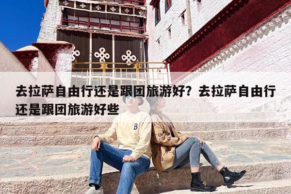 去拉萨自由行还是跟团旅游好？去拉萨自由行还是跟团旅游好些