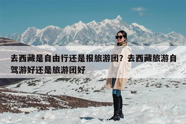 去西藏是自由行还是报旅游团？去西藏旅游自驾游好还是旅游团好