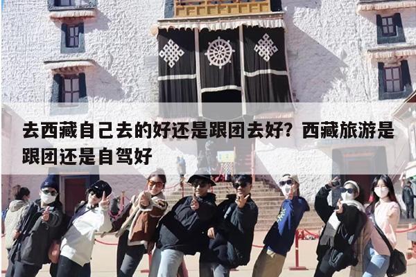 去西藏自己去的好还是跟团去好？西藏旅游是跟团还是自驾好