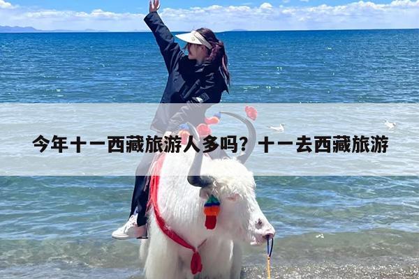 今年十一西藏旅游人多吗？十一去西藏旅游