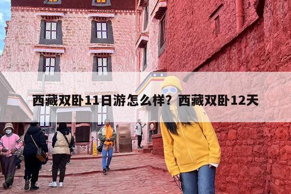西藏双卧11日游怎么样？西藏双卧12天
