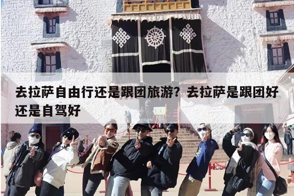 去拉萨自由行还是跟团旅游?去拉萨是跟团好还是自驾好 去拉萨自由行还是跟团旅游?去拉萨是跟团好还是自驾好