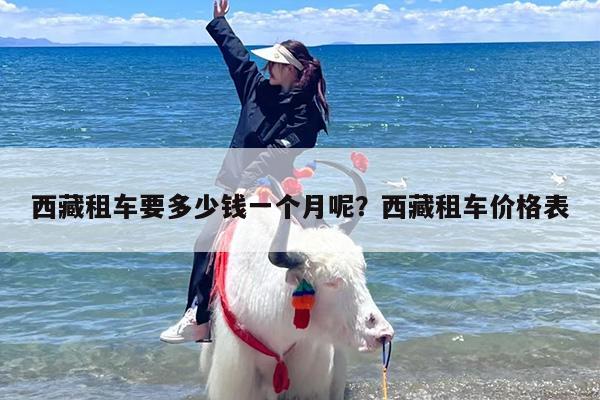 西藏租车要多少钱一个月呢？西藏租车价格表