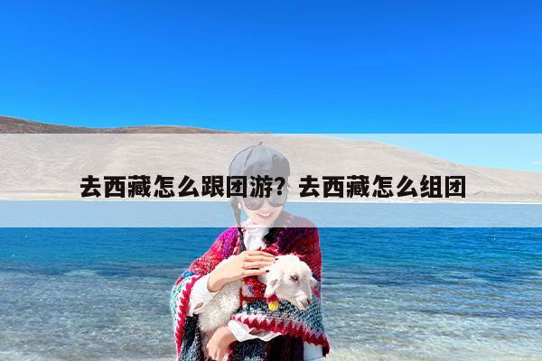 去西藏怎么跟团游？去西藏怎么组团