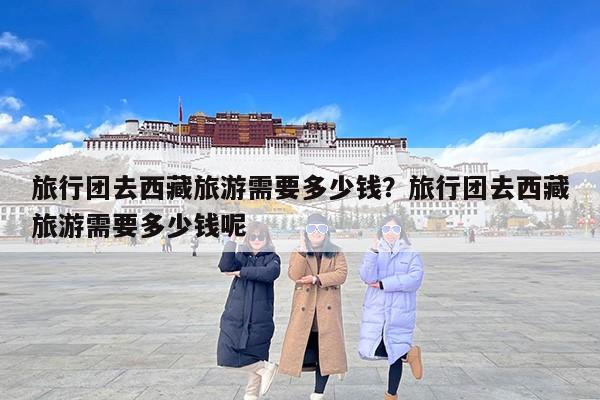 旅行团去西藏旅游需要多少钱？旅行团去西藏旅游需要多少钱呢