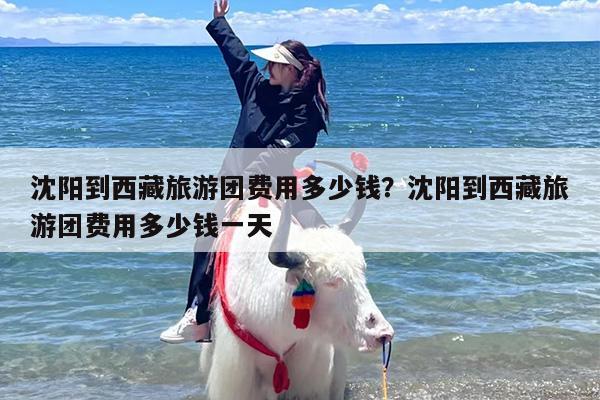 沈阳到西藏旅游团费用多少钱？沈阳到西藏旅游团费用多少钱一天