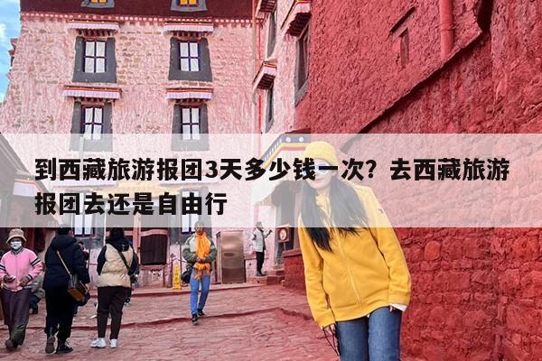 到西藏旅游报团3天多少钱一次？去西藏旅游报团去还是自由行
