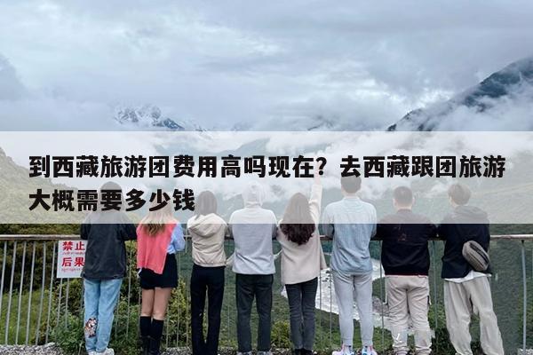 到西藏旅游团费用高吗现在？去西藏跟团旅游大概需要多少钱