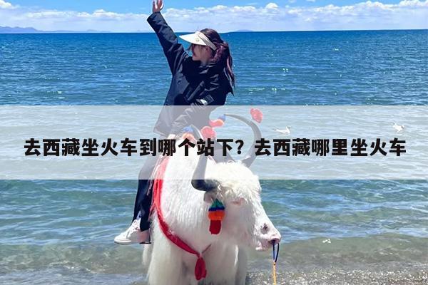 去西藏坐火车到哪个站下?去西藏哪里坐火车 去西藏坐火车到哪个站下?去西藏哪里坐火车