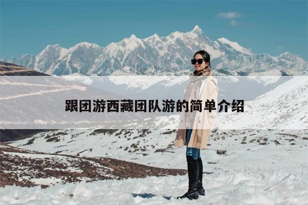 跟团游西藏团队游的简单介绍
