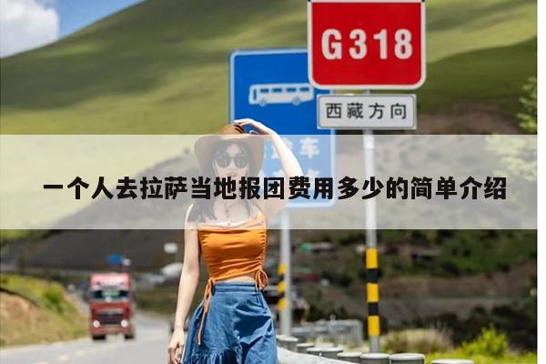 一个人去拉萨当地报团费用多少的简单介绍