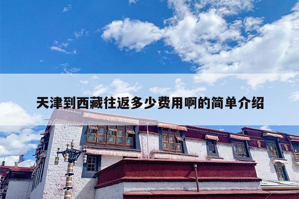 天津到西藏往返多少费用啊的简单介绍