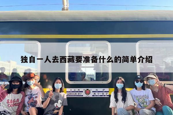 独自一人去西藏要准备什么的简单介绍