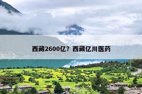 西藏2600亿？西藏亿川医药