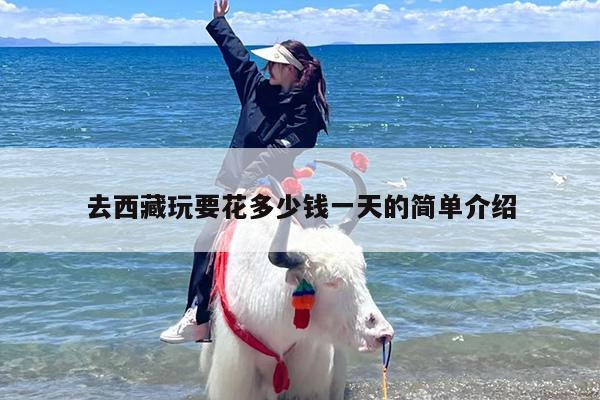 去西藏玩要花多少钱一天的简单介绍
