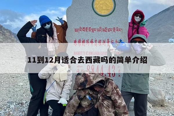 11到12月适合去西藏吗的简单介绍