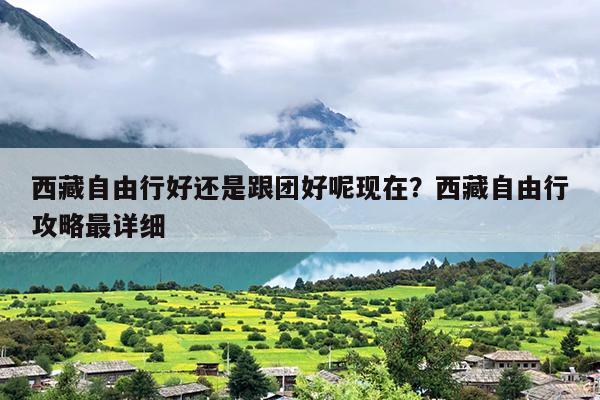 西藏自由行好还是跟团好呢现在？西藏自由行攻略最详细