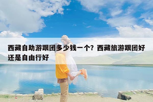 西藏自助游跟团多少钱一个？西藏旅游跟团好还是自由行好
