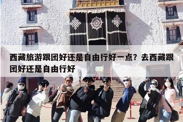 西藏旅游跟团好还是自由行好一点？去西藏跟团好还是自由行好