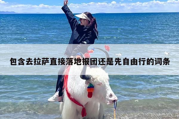 包含去拉萨直接落地报团还是先自由行的词条