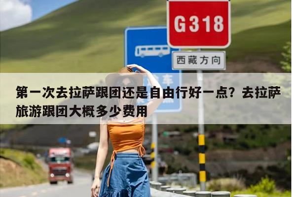 第一次去拉萨跟团还是自由行好一点？去拉萨旅游跟团大概多少费用