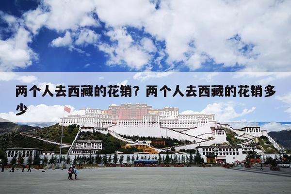 两个人去西藏的花销？两个人去西藏的花销多少
