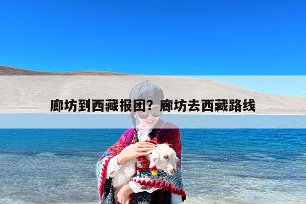 廊坊到西藏报团？廊坊去西藏路线