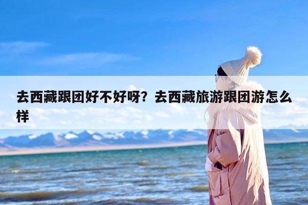 去西藏跟团好不好呀？去西藏旅游跟团游怎么样