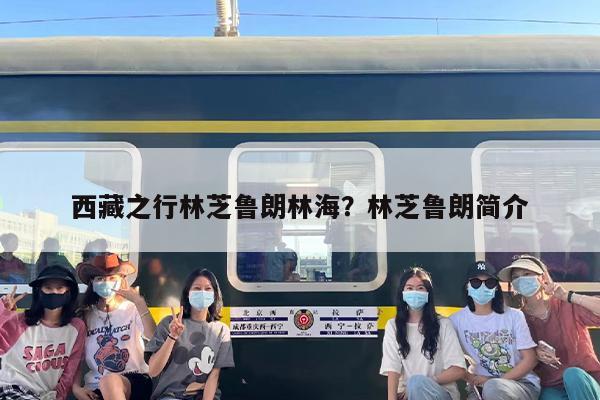 西藏之行林芝鲁朗林海？林芝鲁朗简介