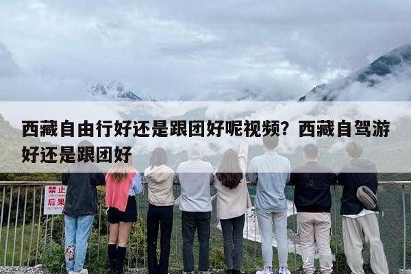 西藏自由行好还是跟团好呢视频？西藏自驾游好还是跟团好