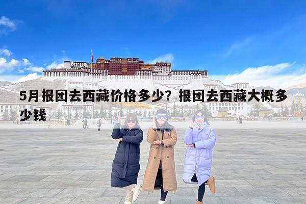 5月报团去西藏价格多少？报团去西藏大概多少钱