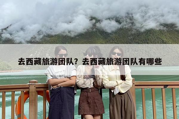 去西藏旅游团队？去西藏旅游团队有哪些