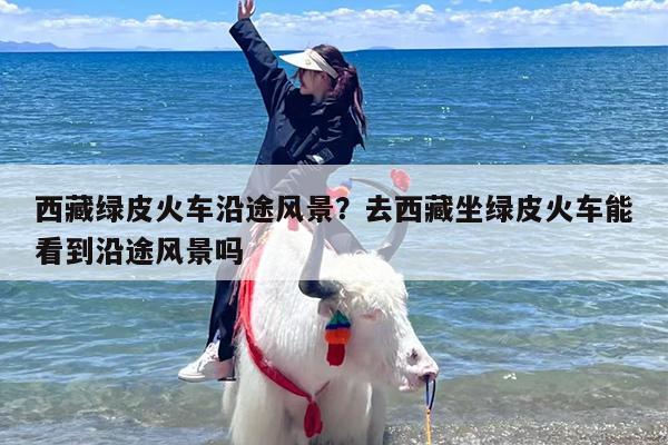西藏绿皮火车沿途风景？去西藏坐绿皮火车能看到沿途风景吗