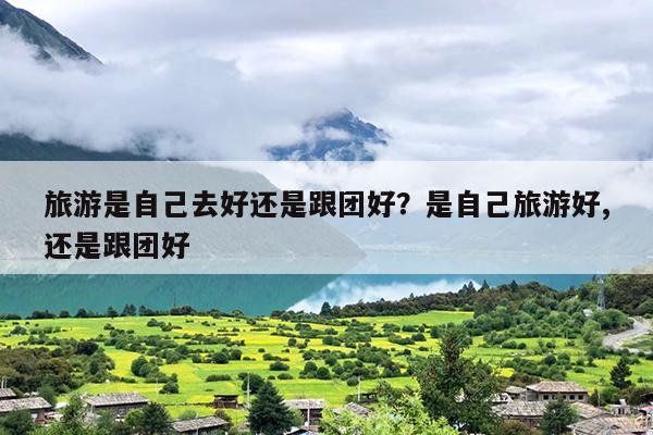 旅游是自己去好还是跟团好？是自己旅游好,还是跟团好