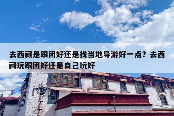 去西藏是跟团好还是找当地导游好一点？去西藏玩跟团好还是自己玩好