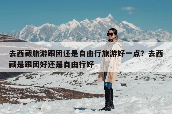 去西藏旅游跟团还是自由行旅游好一点？去西藏是跟团好还是自由行好