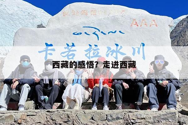 西藏的感悟？走进西藏