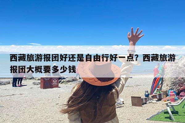 西藏旅游报团好还是自由行好一点？西藏旅游报团大概要多少钱