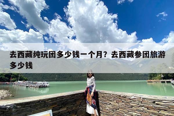 去西藏纯玩团多少钱一个月？去西藏参团旅游多少钱